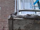 Beschadiging aan beton